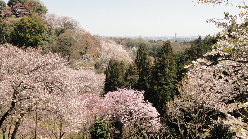img0070.jpg