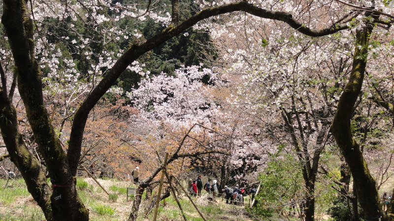 img0071.jpg