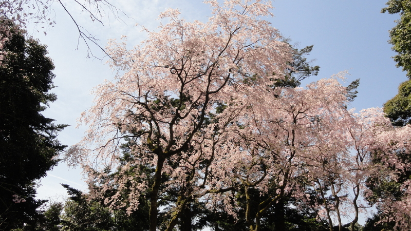 img0073.jpg