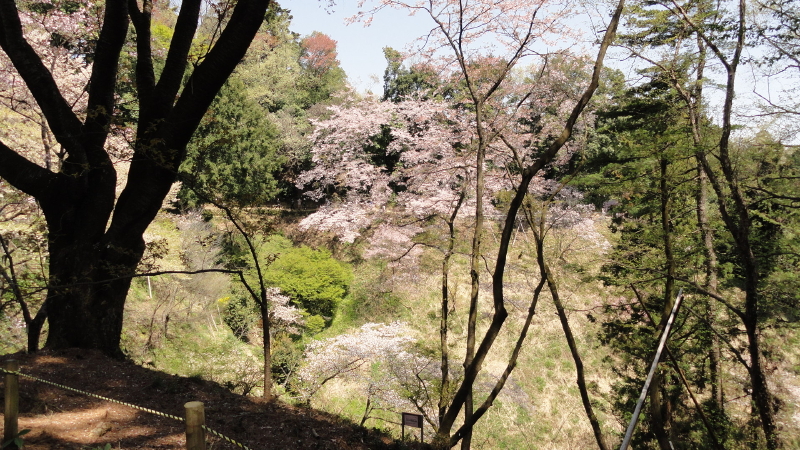 img0075.jpg
