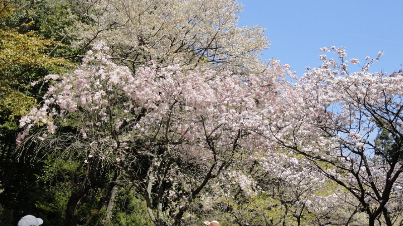 img0076.jpg