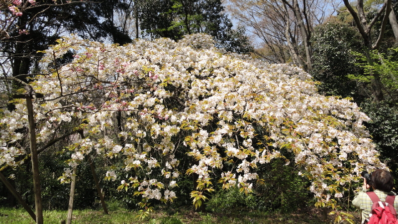 img0079.jpg