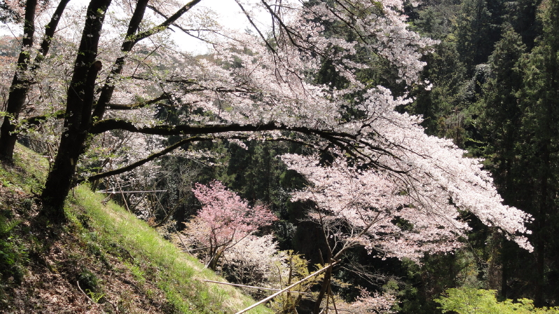 img0084.jpg