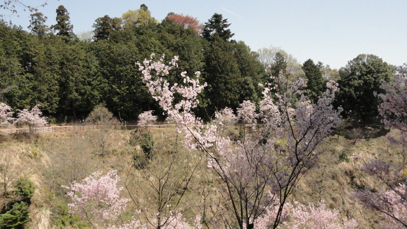 img0089.jpg