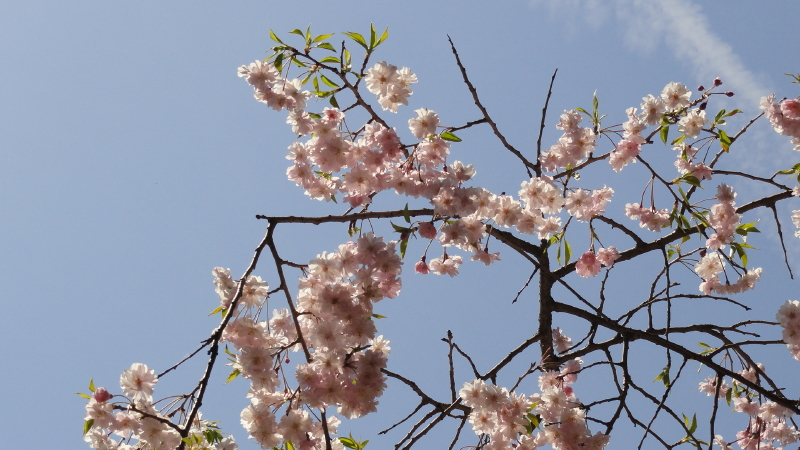 img0098.jpg