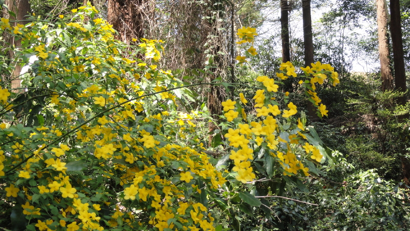 img0102.jpg