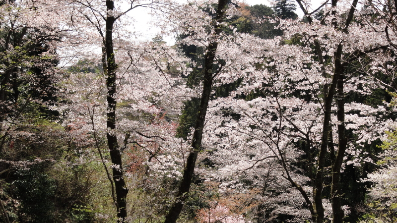 img0105.jpg