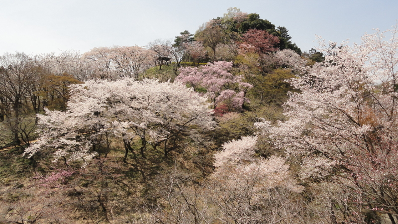 img0114.jpg