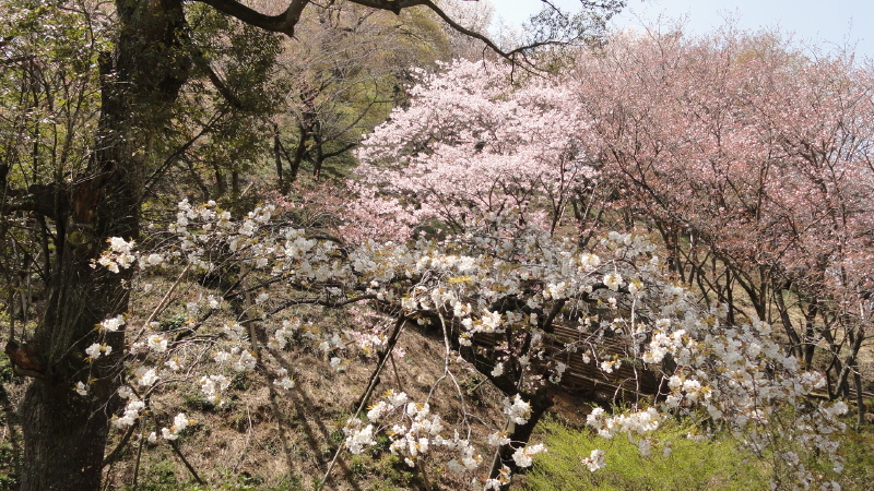 img0119.jpg