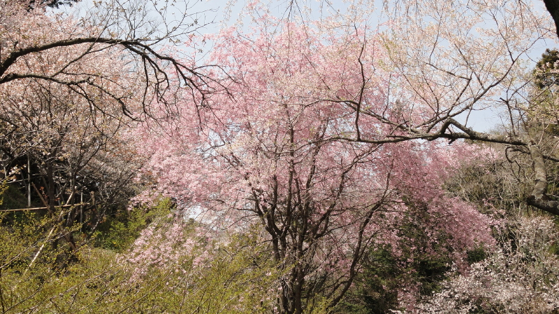 img0121.jpg
