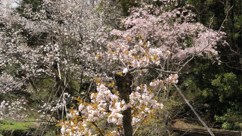 img0123.jpg