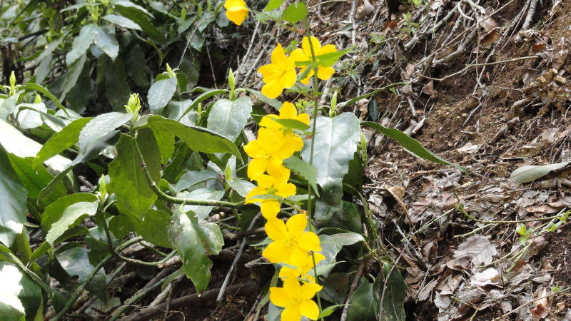 img0129.jpg