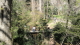 img0006.jpg