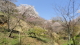 img0012.jpg