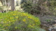 img0013.jpg