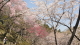 img0017.jpg