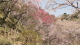 img0018.jpg