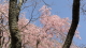 img0019.jpg