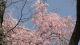 img0020.jpg