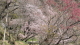 img0021.jpg