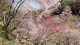 img0022.jpg