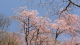 img0023.jpg