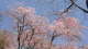 img0024.jpg