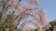 img0025.jpg