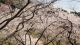 img0027.jpg