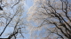 img0032.jpg