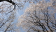 img0033.jpg