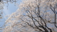img0034.jpg