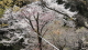 img0035.jpg