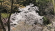 img0036.jpg