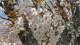 img0037.jpg