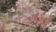 img0046.jpg