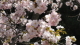 img0058.jpg