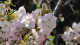 img0059.jpg