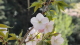 img0061.jpg