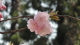 img0063.jpg