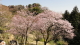 img0064.jpg