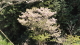 img0065.jpg