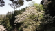 img0067.jpg