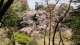 img0074.jpg