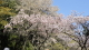 img0076.jpg