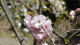 img0078.jpg