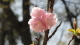 img0080.jpg