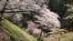 img0083.jpg