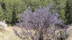 img0087.jpg