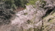 img0094.jpg